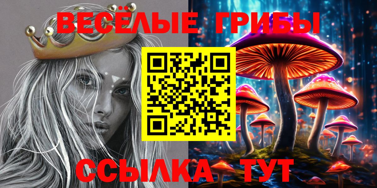 Псилоцибиновые грибы мицелий  Вход с VPN  Аксай 